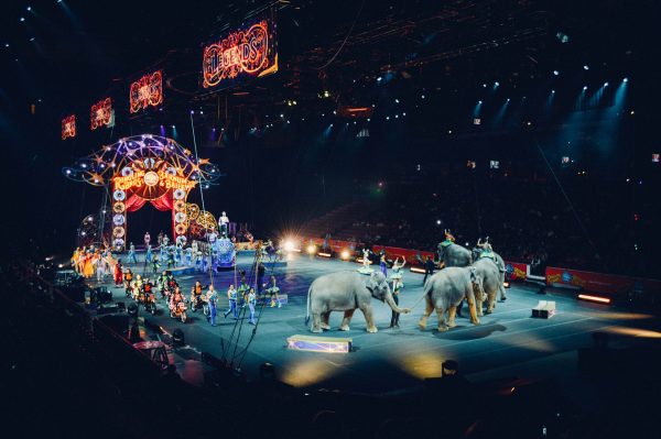 Circus celebration